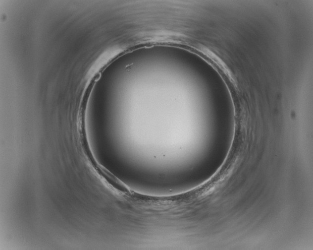 X0000067831285200604131152
