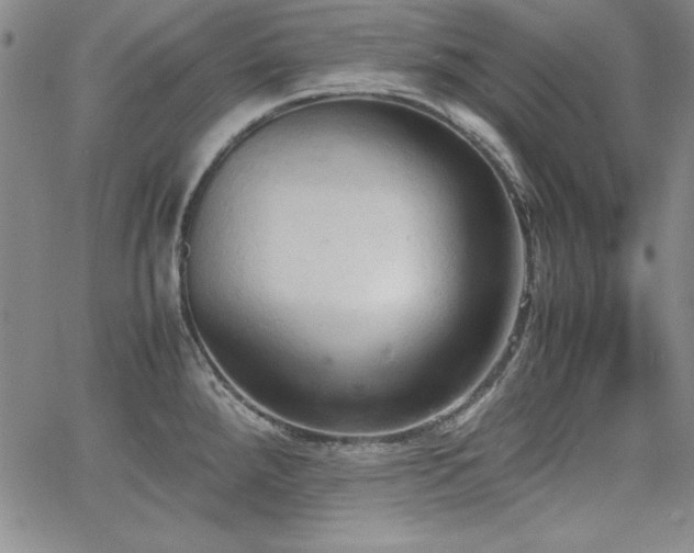 X0000067831288200604131152