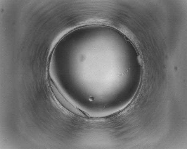 X0000067831296200604131151