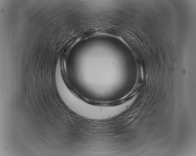 X0000067831298200604131151