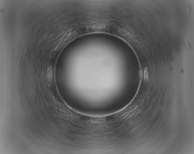 X0000067831299200604131151