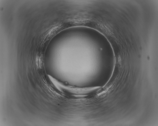 X0000067831300200604131151