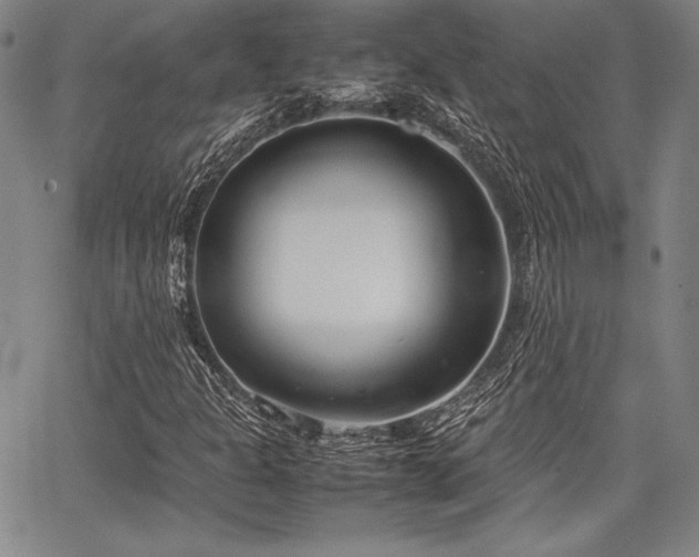 X0000067831301200604131151