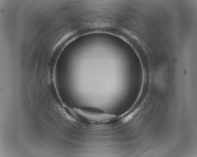 X0000067831306200604131151