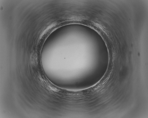 X0000067831307200604131151