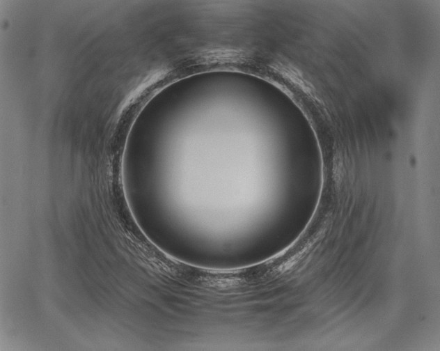 X0000067831309200604131151