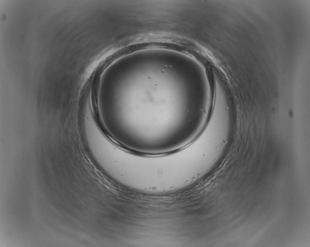 X0000067831312200604131151