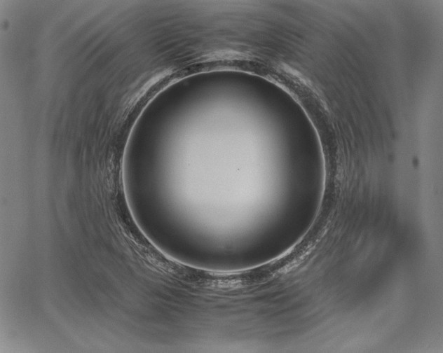 X0000067831313200604131151