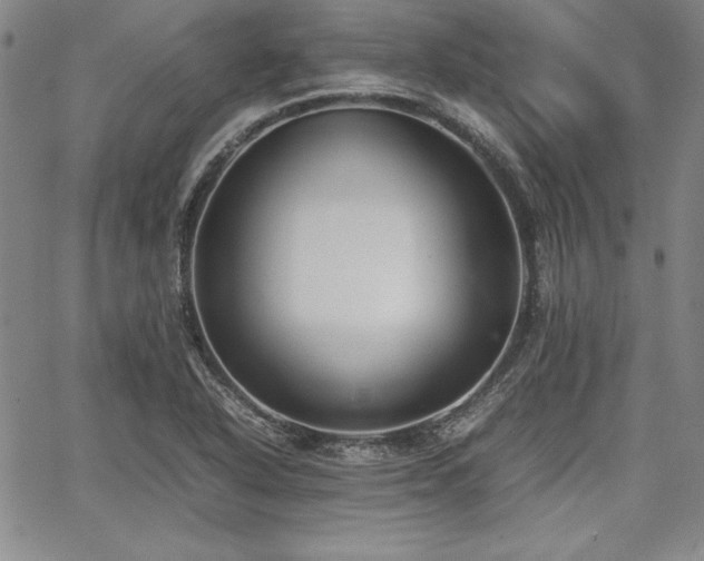 X0000067831318200604131151