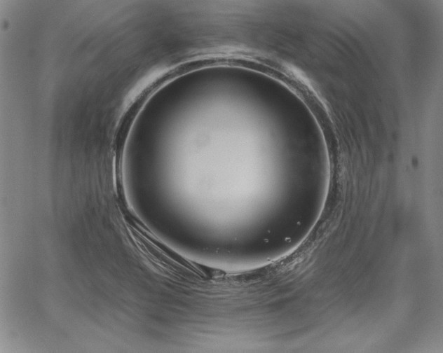 X0000067831320200604131151