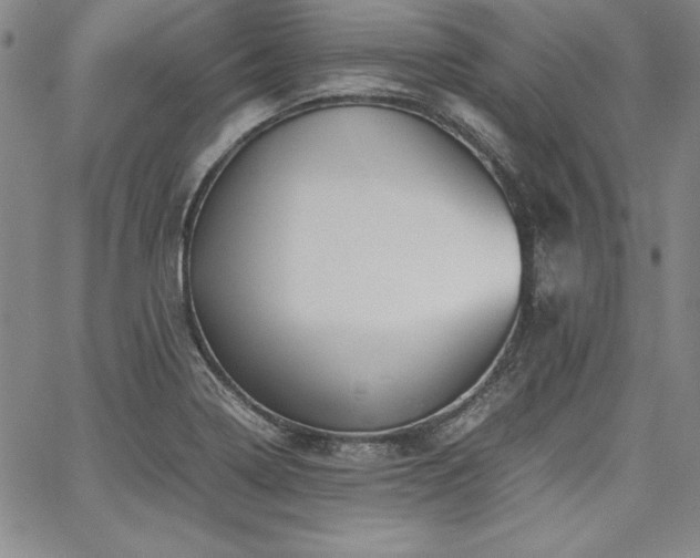 X0000067831322200604131151