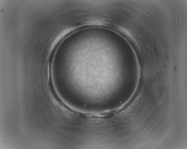 X0000067831323200604131151