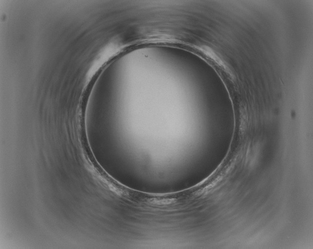 X0000067831325200604131151