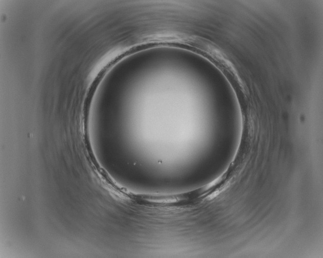 X0000067831328200604131151