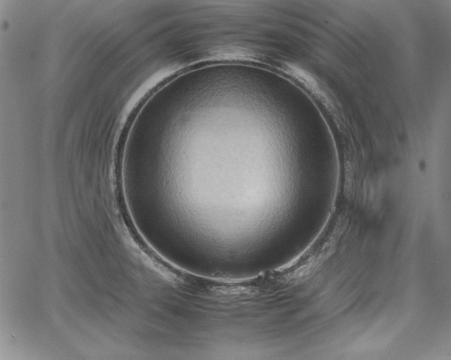 X0000067831331200604131151