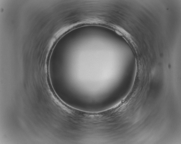 X0000067831335200604131151