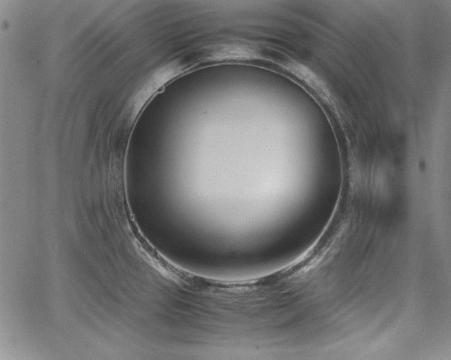 X0000067831337200604131151