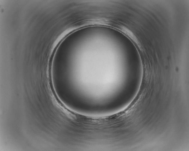 X0000067831339200604131151
