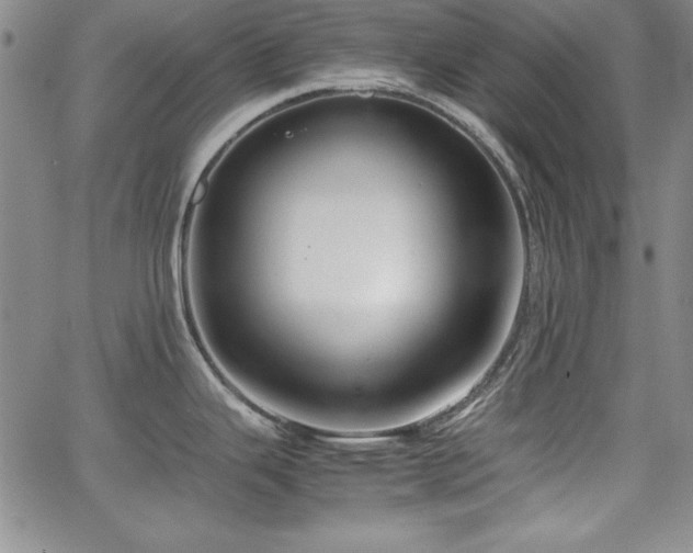 X0000067831343200604131151