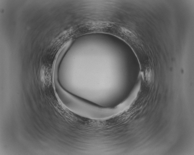 X0000067831348200604131151