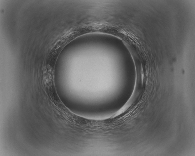 X0000067831349200604131151