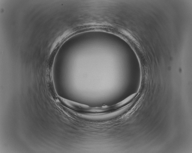 X0000067831357200604131150