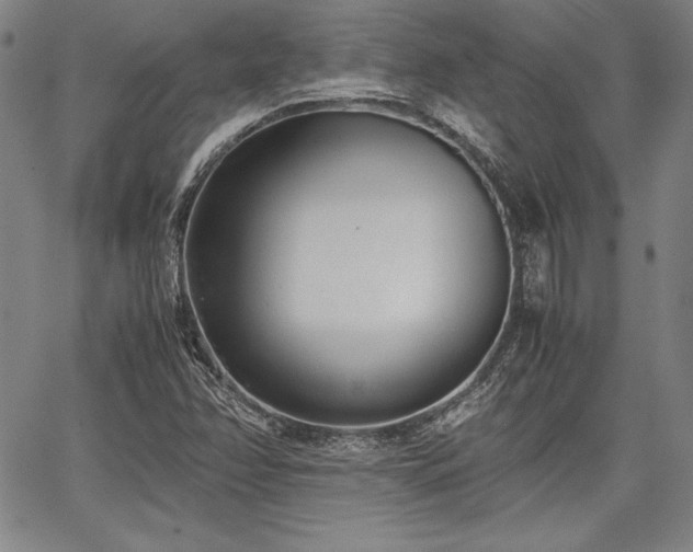 X0000067831358200604131150