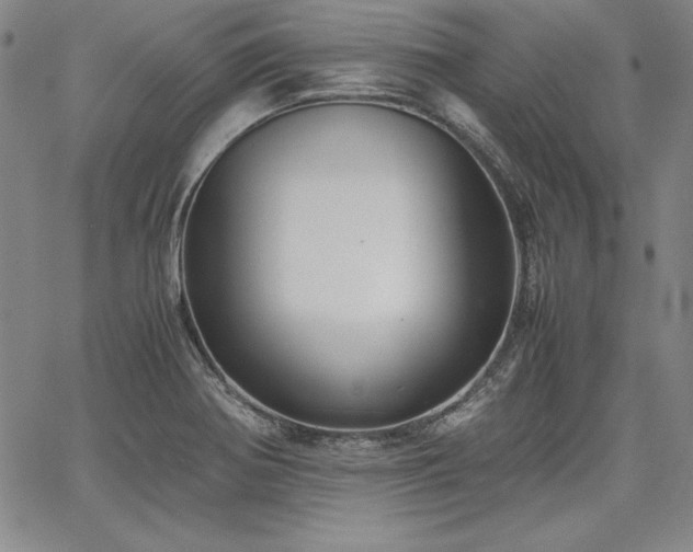 X0000067831370200604131150