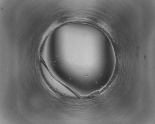 X0000067831371200604131150