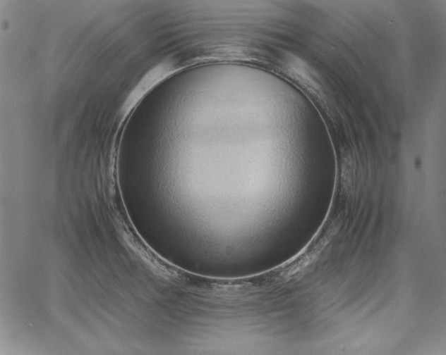 X0000067831378200604131150