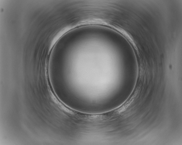X0000067831390200604131150