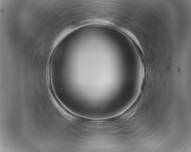 X0000067831391200604131150