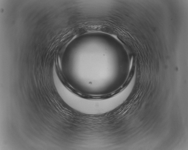 X0000067831394200604131149