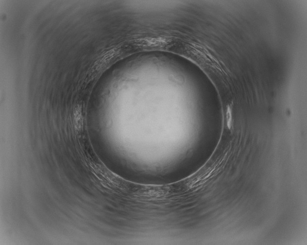 X0000067831395200604131149