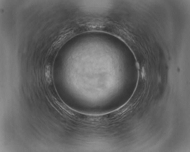 X0000067831396200604131149