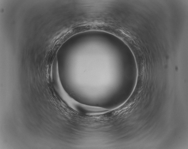 X0000067831398200604131149