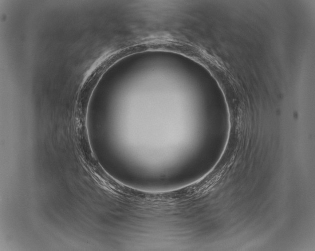 X0000067831400200604131149