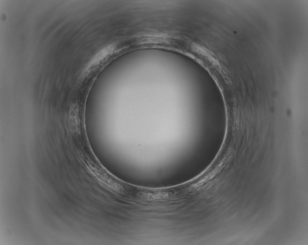 X0000067831403200604131149