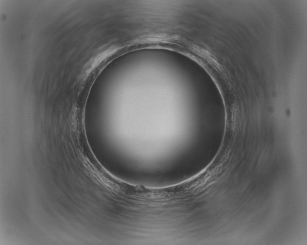 X0000067831404200604131149