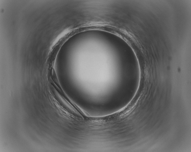 X0000067831406200604131149