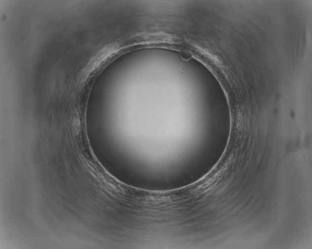 X0000067831407200604131149