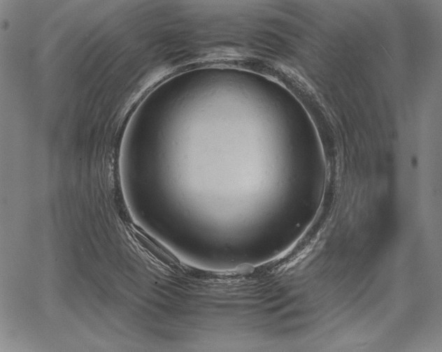 X0000067831409200604131149