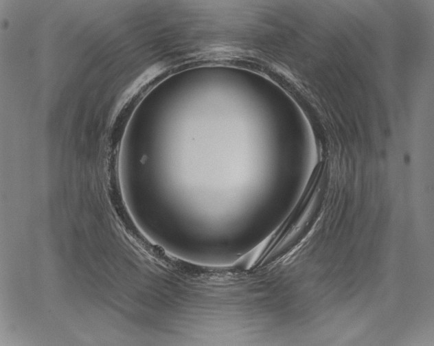 X0000067831410200604131149