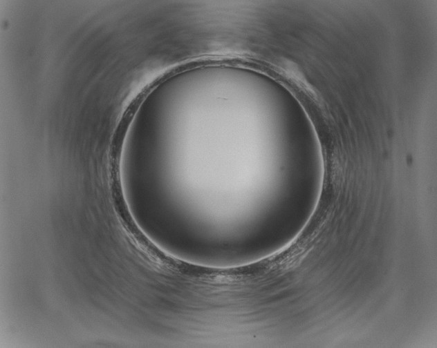 X0000067831412200604131149