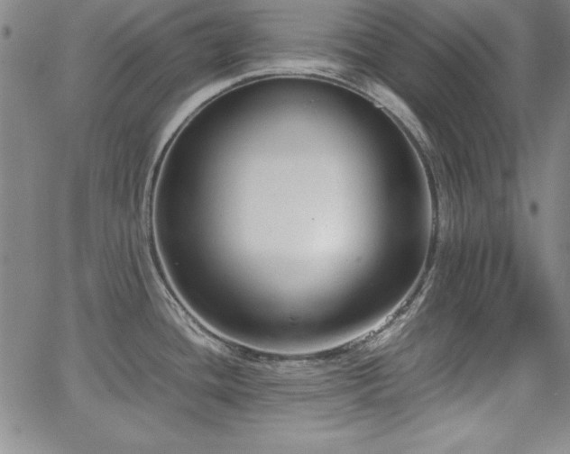 X0000067831436200604131150