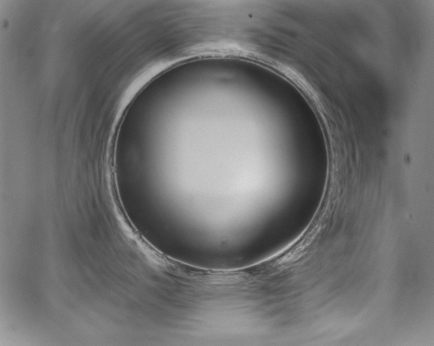 X0000067831440200604131150
