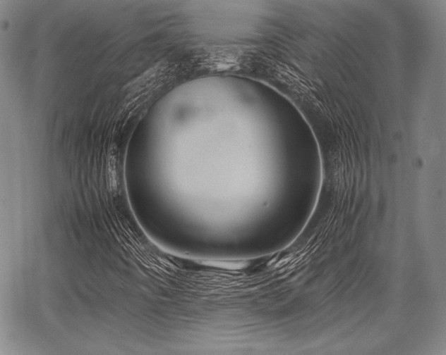 X0000067831442200604131149