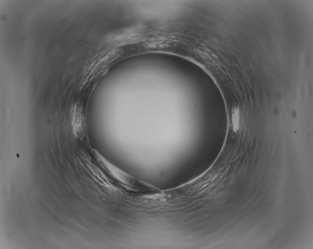 X0000067831444200604131149