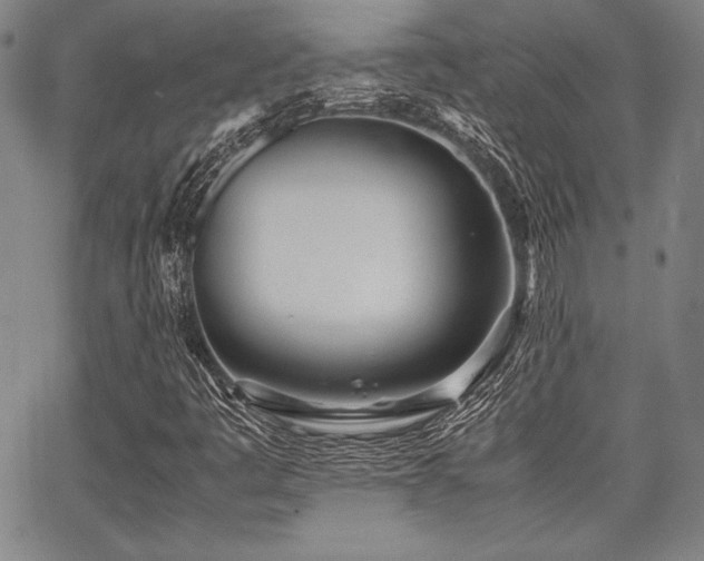X0000067831445200604131149