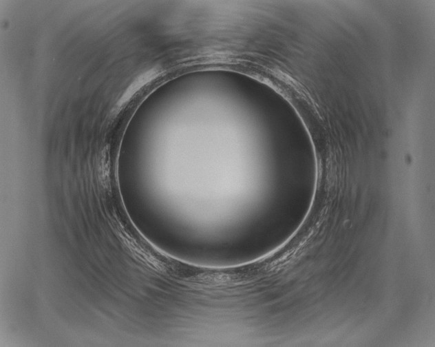 X0000067831450200604131149